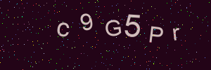 Validation image