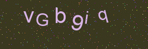 Validation image