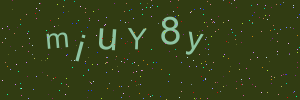 Validation image