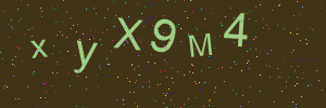 Validation image